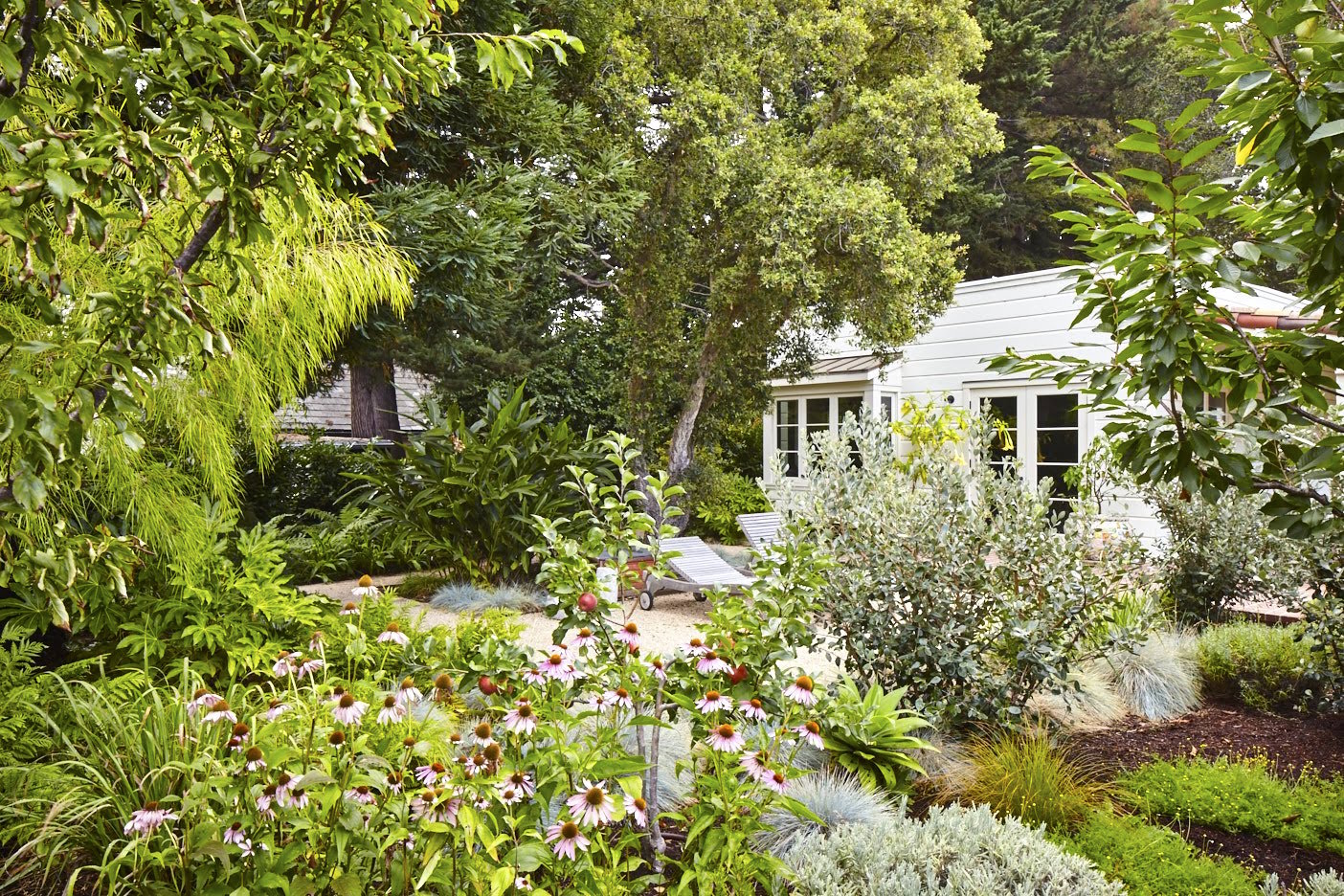 potager garden by pine house edible in northern california