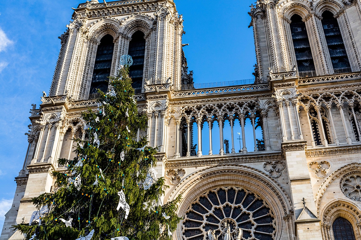 Notre Dame Cathedral at Christmas