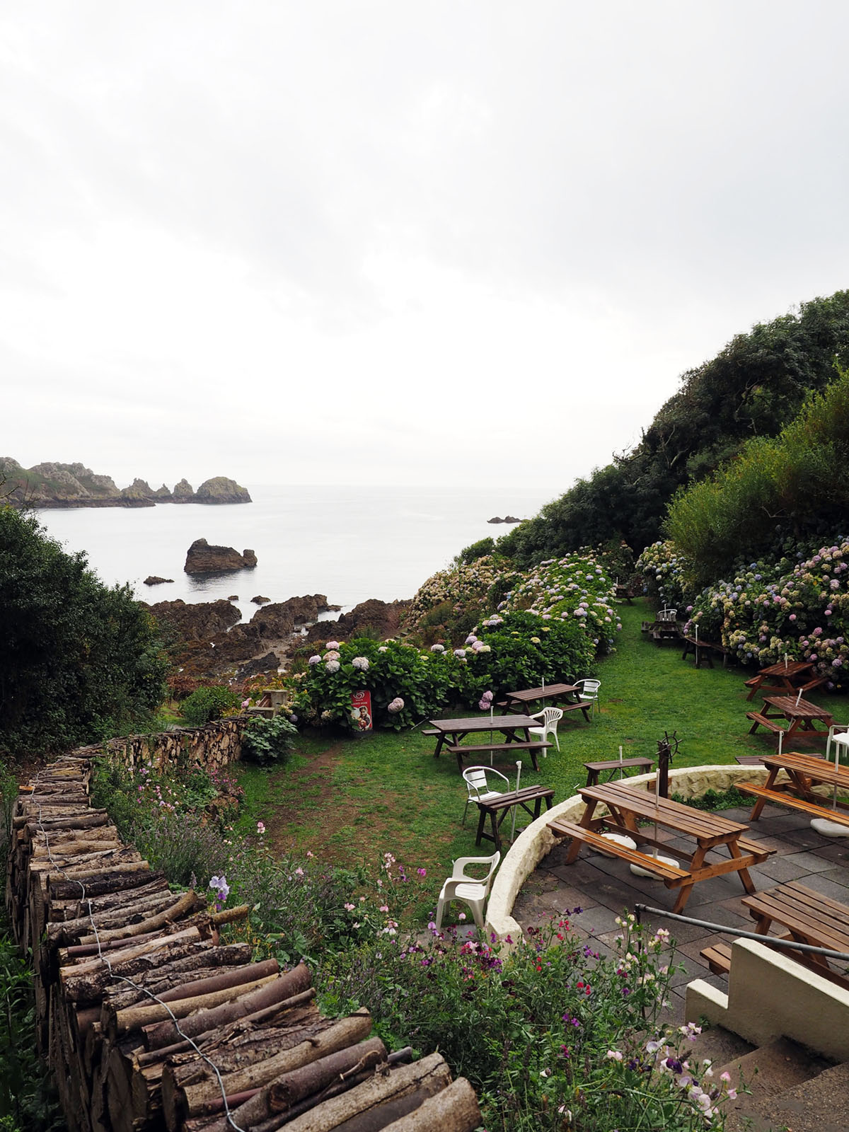 a beautiful view of the moulin huet bay beach through hydrangeas at a tea house in guernsey | travel guide on cooc kelley