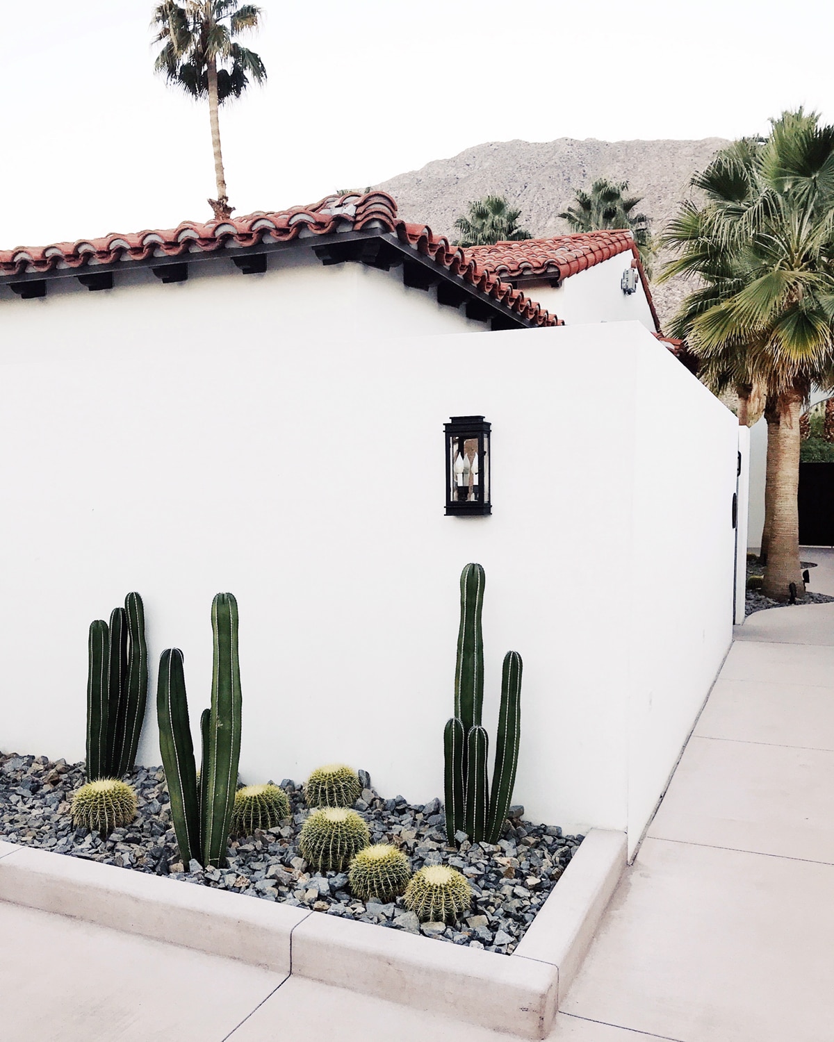 cactus minimalis landscaping | tour of la serena villas palm springs on coco kelley