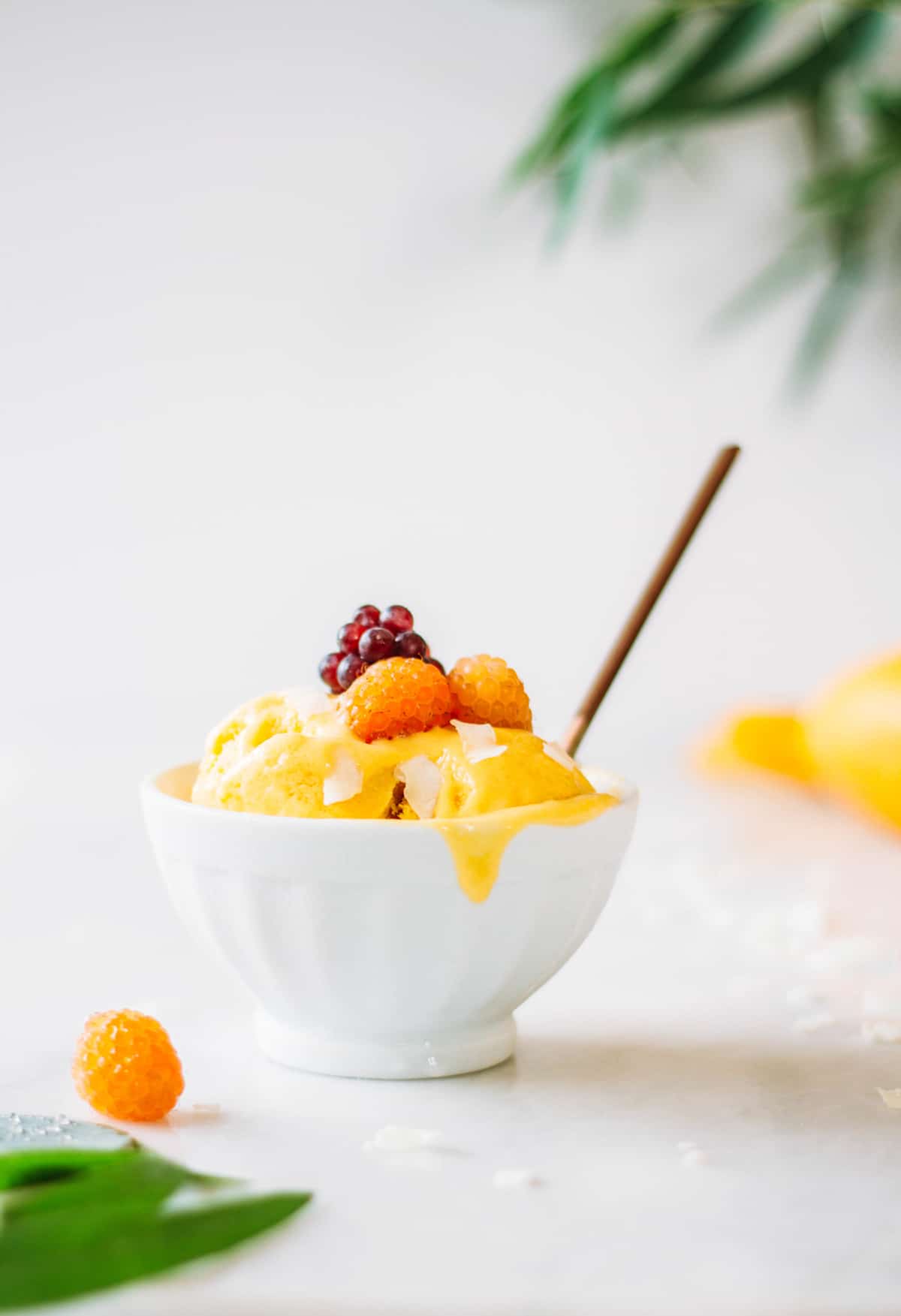 champagne mango ice cream dessert recipe | coco kelley