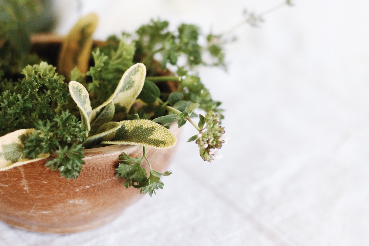 classic summer herb quiche recipe | coco kelley