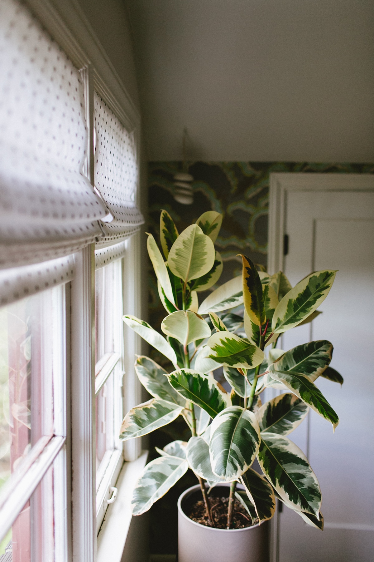 grey polka dot roman shades and natural plants | attic office makeover from coco kelley