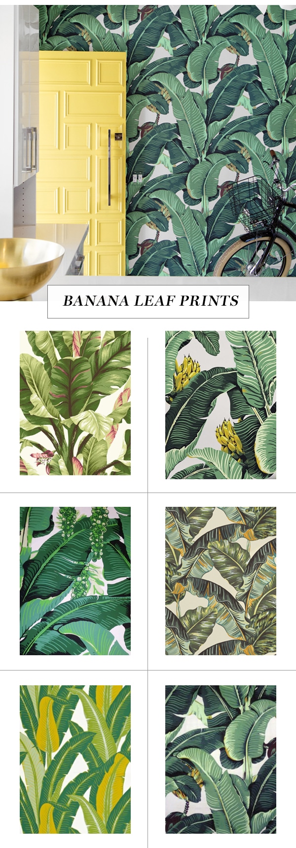 leaf print wallpaper roundup on coco kelley - banana leaf wallpapers