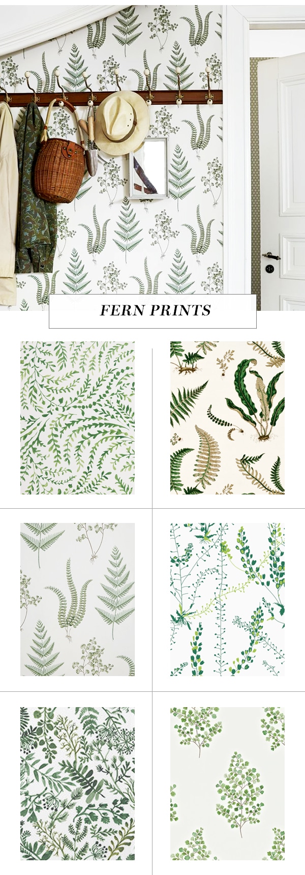 leaf print wallpaper roundup on coco kelley - fern prints