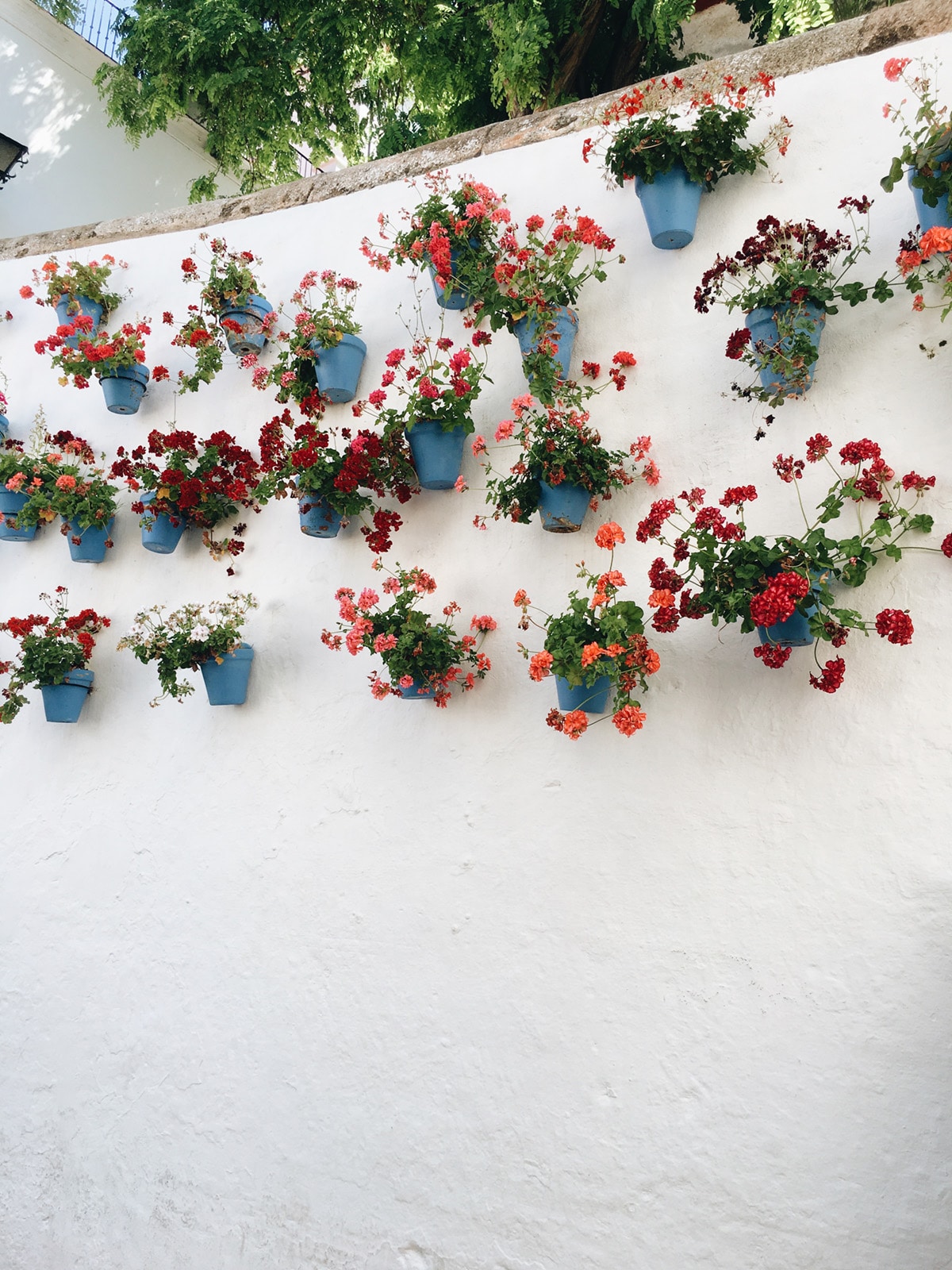 potted plants line the walkways of old town marbella | see our guide to the costa del sol on coco kelley
