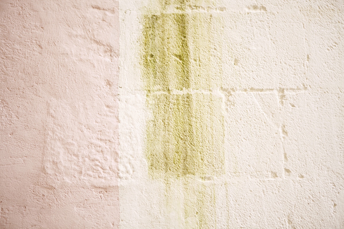 wall textures and colors | photography by belathee