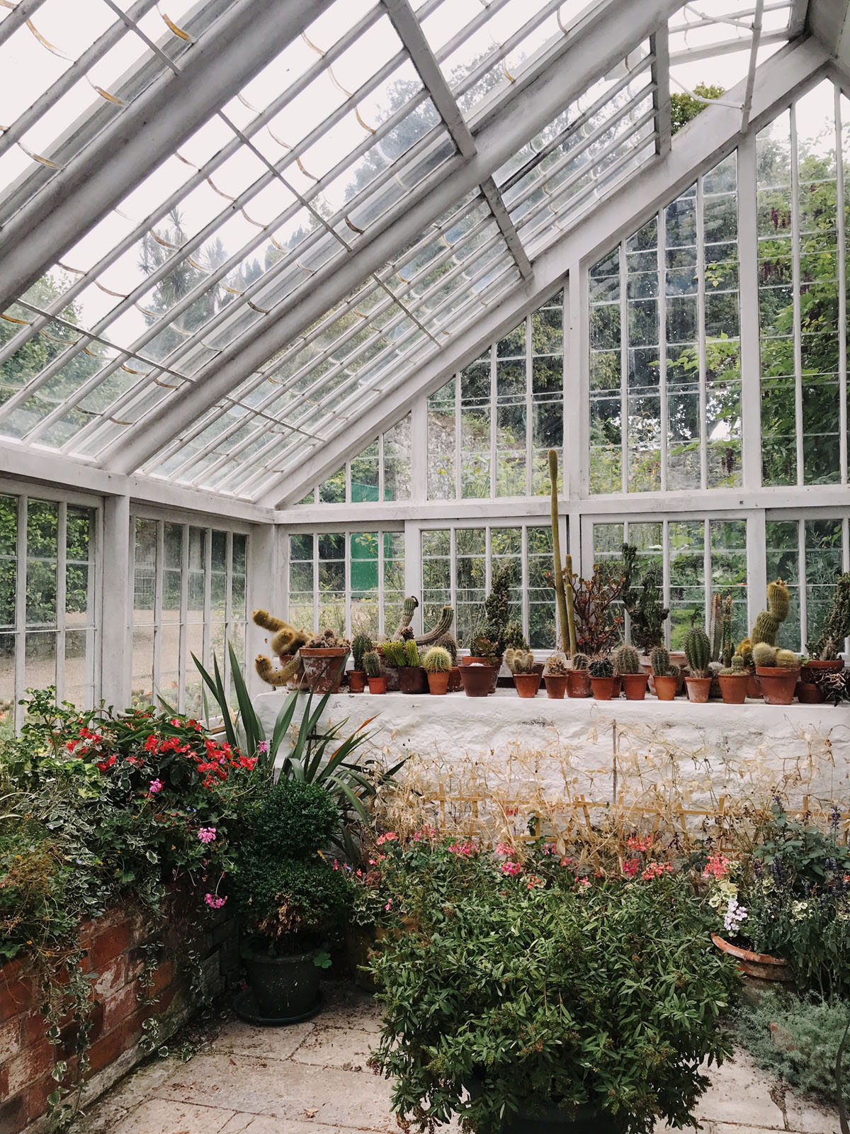 succulent greenhouse in the candie gardens in guernsey | travel guide on coco kelley