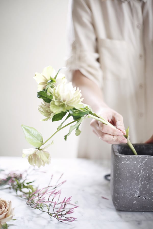 spring floral arrangement tutorial from coco kelley and cozbi jean - start with helibores