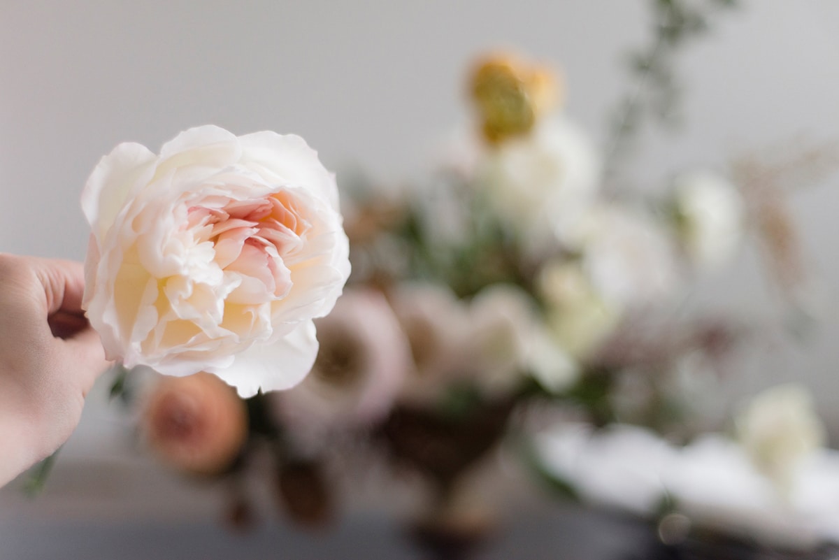 a romantic floral tutorial to usher in spring | CJP and coco kelleyv